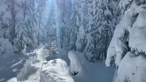 Joyous Winter Wonderland – Central Oregon – Swampy Lakes Sno-Park – 4K