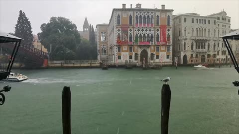 1 hour of Beautiful Venice Rain Shower Calming Relaxation Meditation Focus Study Yoga Insomnia