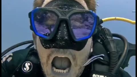 Small Fish Cleans Scuba Diver's Ears