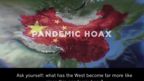 How Did They Pull Off The Pandemic - Davide Icke