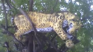Escultura de um tigre entre os galhos da árvore no museu de ciências [Nature & Animals]