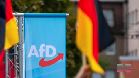 Germany Can Monitor AfD as Threat to Democracy, Court Rules