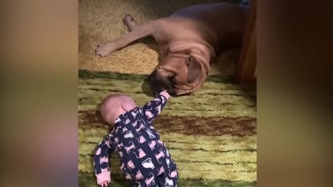 Funniest Baby Videos of the Week - Try Not To Laugh