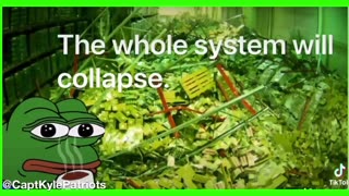 System Collapse