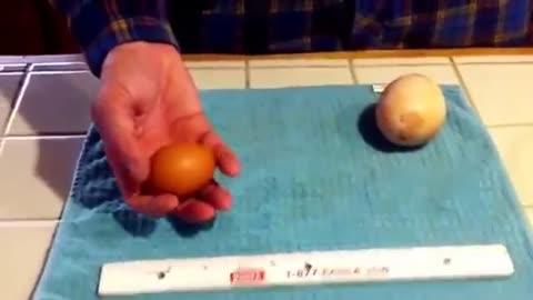 Egg Inside Of An Egg!