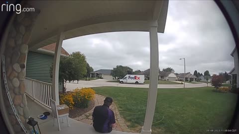 Cute FedEx and Puppy Dog interaction caught on Ring Camera