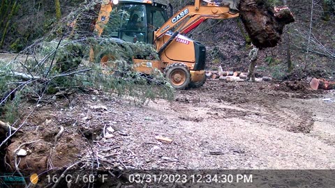 Case 580 - Moving Tree Stumps