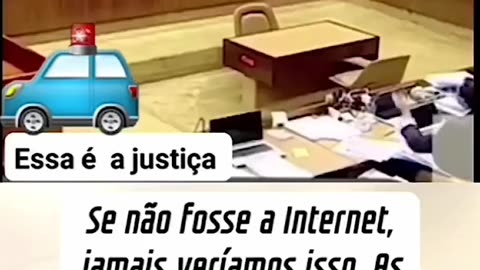 STF: um saco de gatos