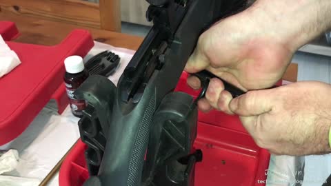Marlin XT22 Bolt Action Rifle Disassembly for Cleaning and Inspection