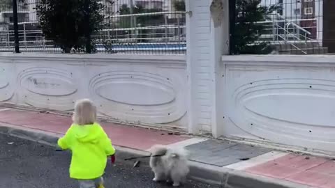 Hilarious toddler takes dog for a walk