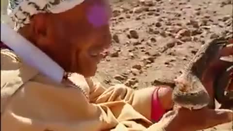 Taming of snakes in Morocco