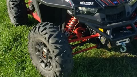 2019 rzr