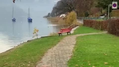 Take a stroll by the lake, the scenery is pleasant.