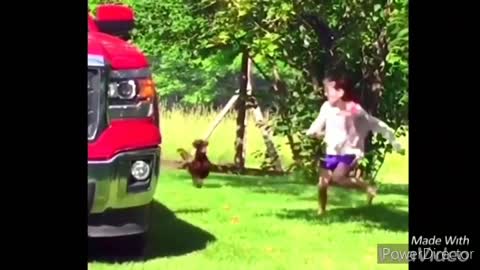 Funny chickens and roosters Chasing kids and adults 😂|funny videos compilation 2021