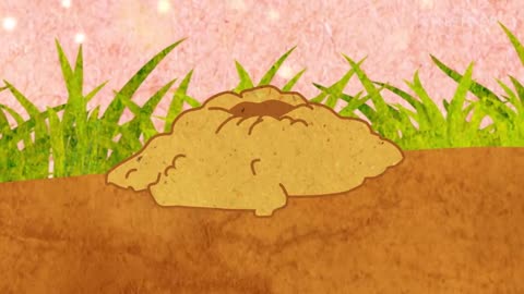 What's Inside An Anthill