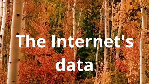 The internet's data weights