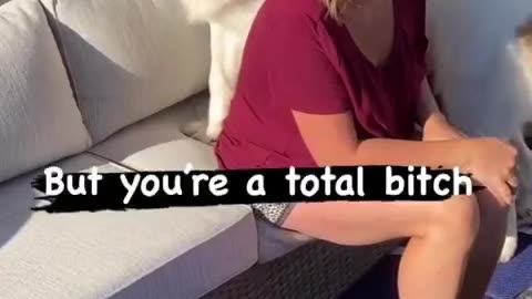 Sorry, you're a total bitch.🤷‍♂️ - #cutedog #funnydogvideo