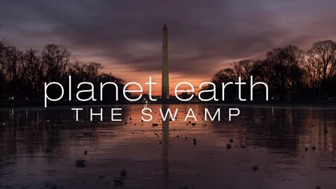 PLANET EARTH SPECIAL - THE SWAMP