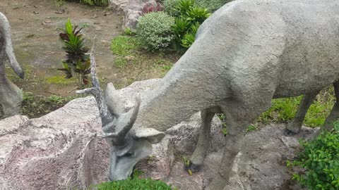 come back to see beautiful statue deer