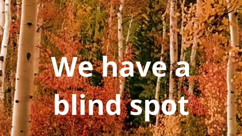 We have a blind spot