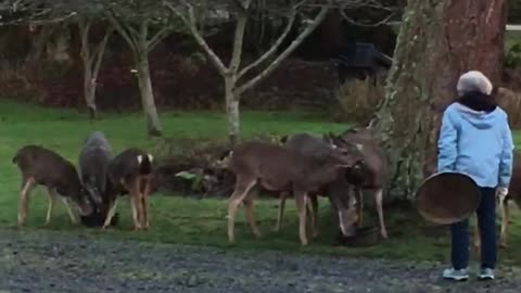 My mama feeding the kids