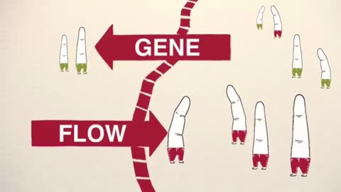 In science, we refer to this movement as gene flow