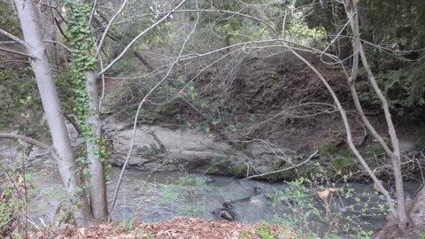 Simple Creek Trail Break