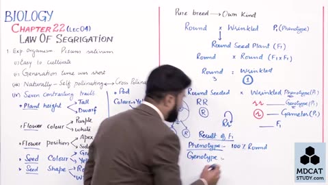 LEC#4 MENDELS LAW OF SEGREGATION