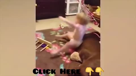 Cute Dogs Playing With Little Baby #shorts