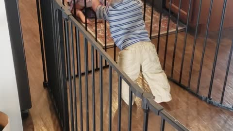 Baby Gate Can't Hold Back Determined Baby