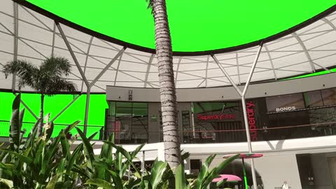 Green Screen Palm Tree Pacific Fair Shopping Centre