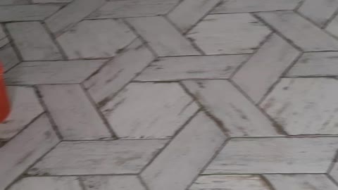 Tile floor