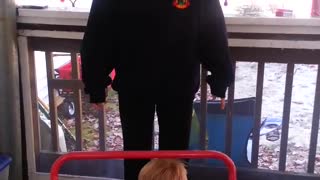 Mom and Son Jumping on trampoline