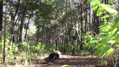 Accidental Camping Spot In Forest