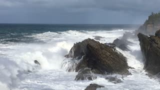 Shore Acres State Park, 1-08-2021, near Bandon, Oregon