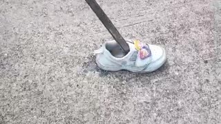 Cobra Founding Nestling inside Kid's Shoe