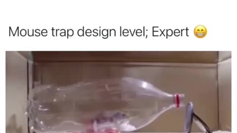 Mouse trap design level .. | expect
