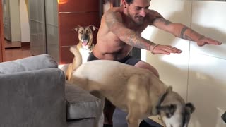 Dogs Want To Join The Workout