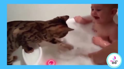 Babies and Pets Compilation