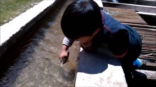 boy playing with fish