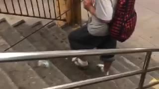Guy pulls kitten on a leash down subway stairs