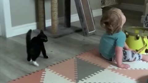 black cute cat was dancing with little bos