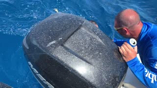 Determined Fisherman Dives for Catch