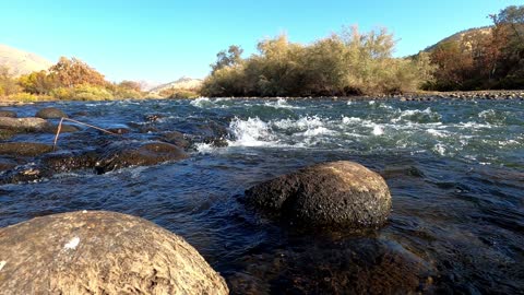 A nice day at the river