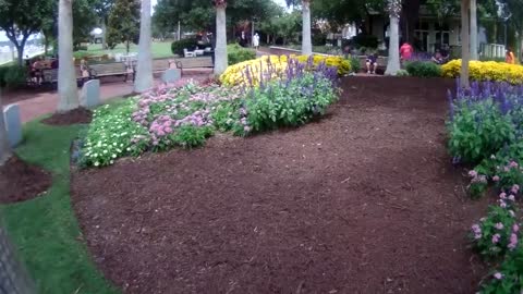 Low Country Tour - Riverfront Park - Beaufort, SC