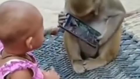 Funny 2021 Baby and monkey video
