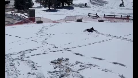 Dog watches people sledding, proceeds to do it herself original video 2021
