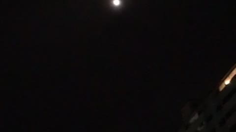 night moon~
