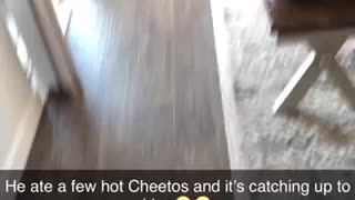 🔥🔥 Hot Cheetos 2 year old 😂😂