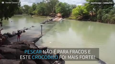 Duelo entre crocodilo e pescador em um rio da Austrália